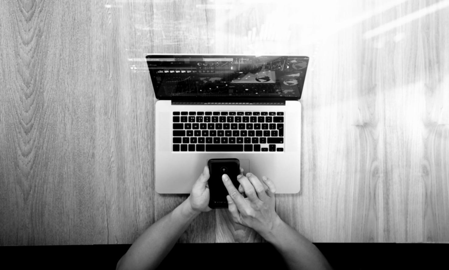 Ambiente formativo kovarovisa durante una sessione pratica